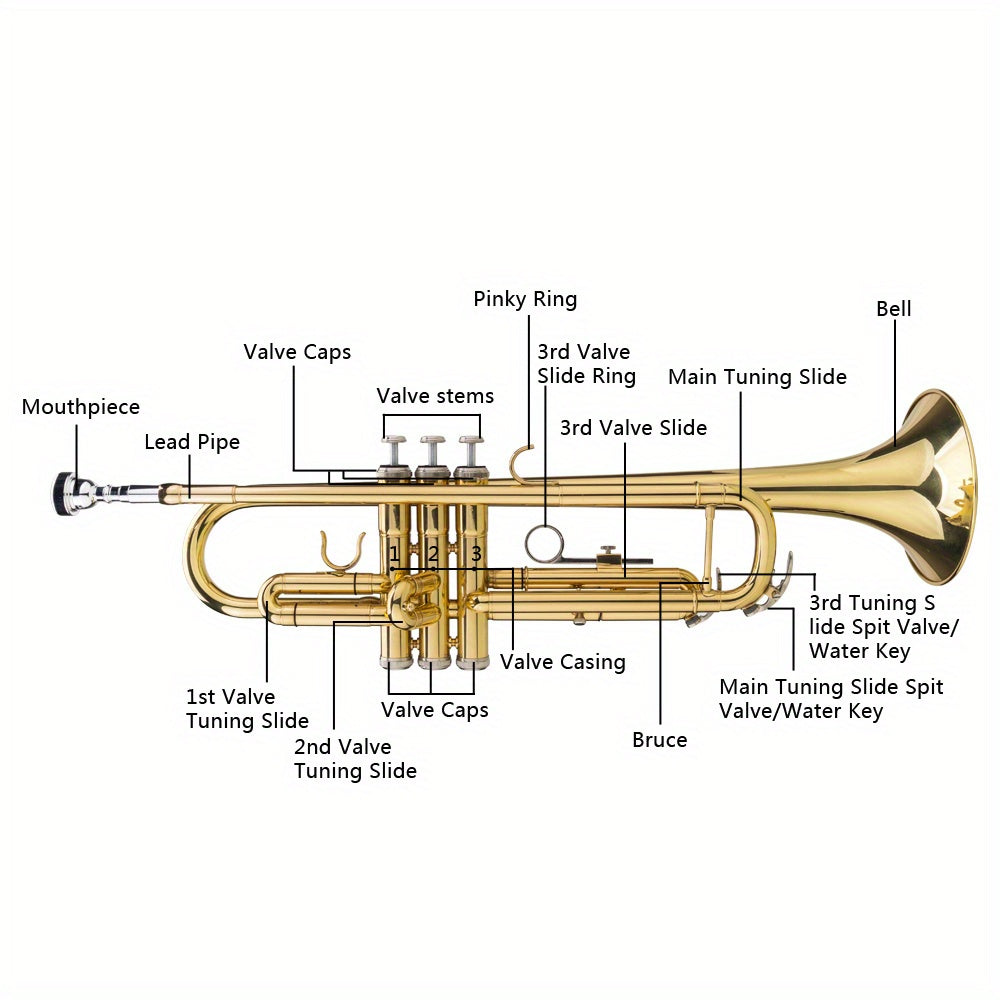 Professional Golden Brass Bb Trumpet - ATSProducts