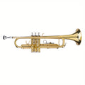 Professional Golden Brass Bb Trumpet - ATSProducts