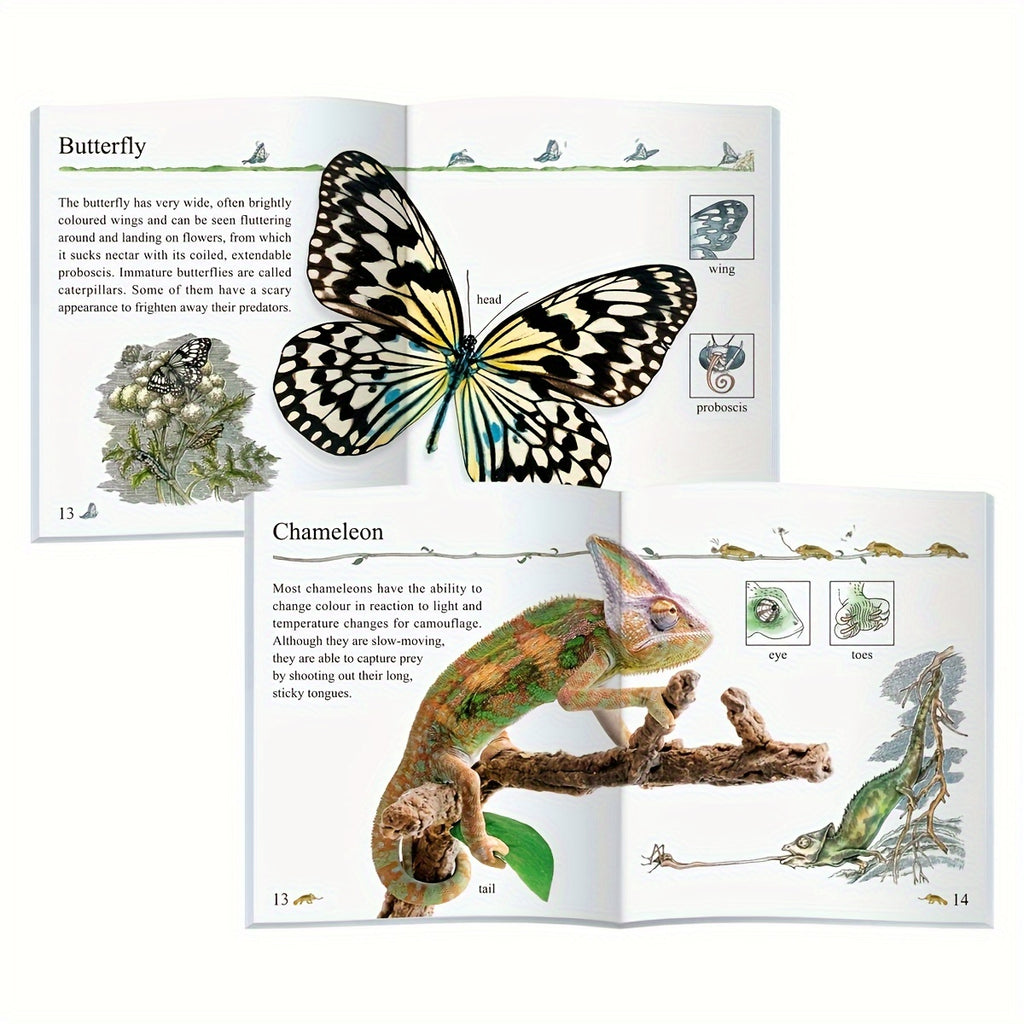 Set Of 10 My Encyclopedia Series Children's Educational Assistance Books - ATSProducts