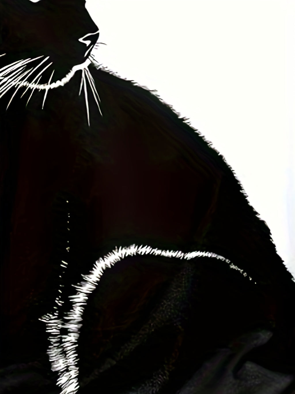 Cat Print V-Neck Shirt - ATSProducts