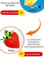 TeenyBaby Set Of 10 Spanish Language Books, My First Series Of Children's Identification Books - ATSProducts