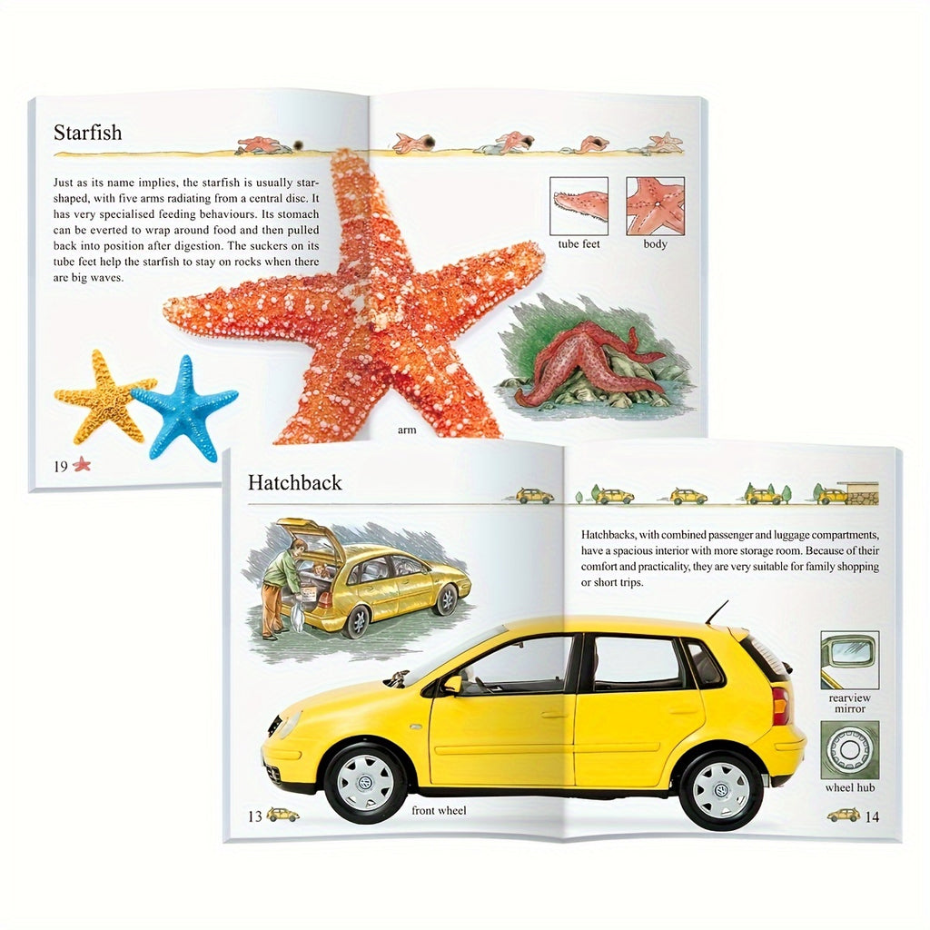 Set Of 10 My Encyclopedia Series Children's Educational Assistance Books - ATSProducts