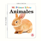 TeenyBaby Set Of 10 Spanish Language Books, My First Series Of Children's Identification Books - ATSProducts