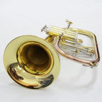 Focustyle Flugelhorn Professional Model - ATSProducts