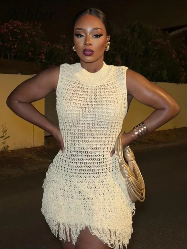Nibber Crochet Tassel Hem Sleeveless Dress - ATSProducts