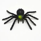 Moonbiffy Prank Realistic Scary Spider Insects - ATSProducts