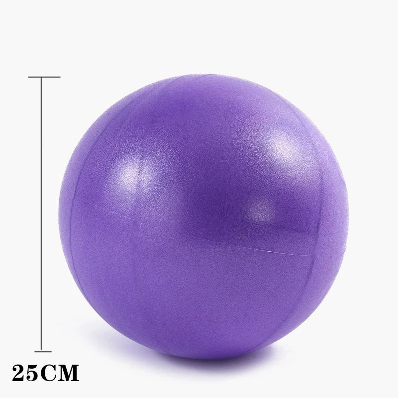 Pilates Ring Set 14 PCS Wrist & Ankle Weight Set - ATSProducts