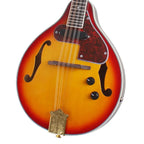 Irin 8 String Electric Mandolin With Carrying Backpack Cleaning Cloth - ATSProducts