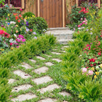 Chenao 4 Bundles Of Artificial Boston Ferns