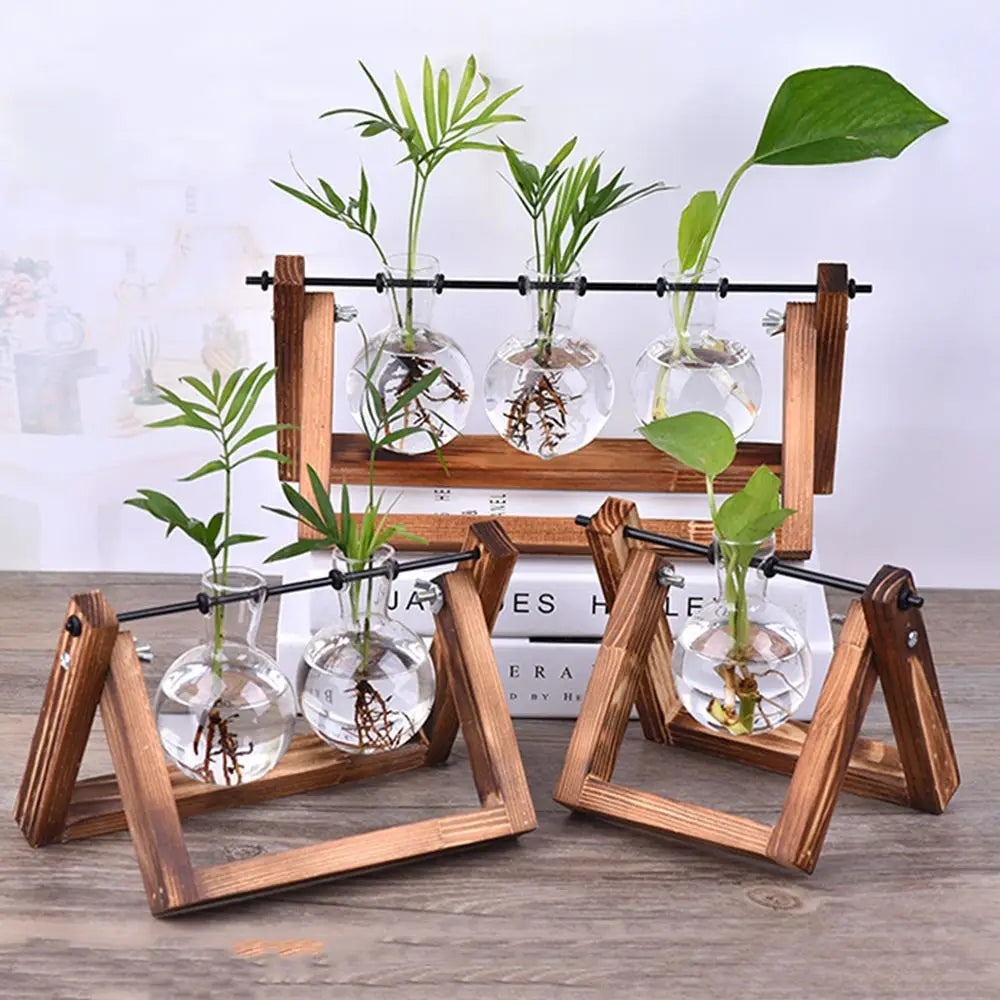 Vintage Hydroponic Plant Vases