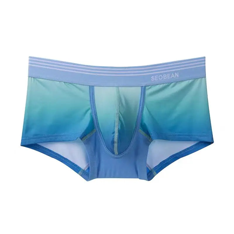 Seobean Gradient Boxer Briefs - ATSProducts