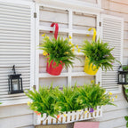 Chenao 4 Bundles Of Artificial Boston Ferns