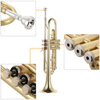 Trumpet With Mouthpiece Gloves  & Strap Case - ATSProducts