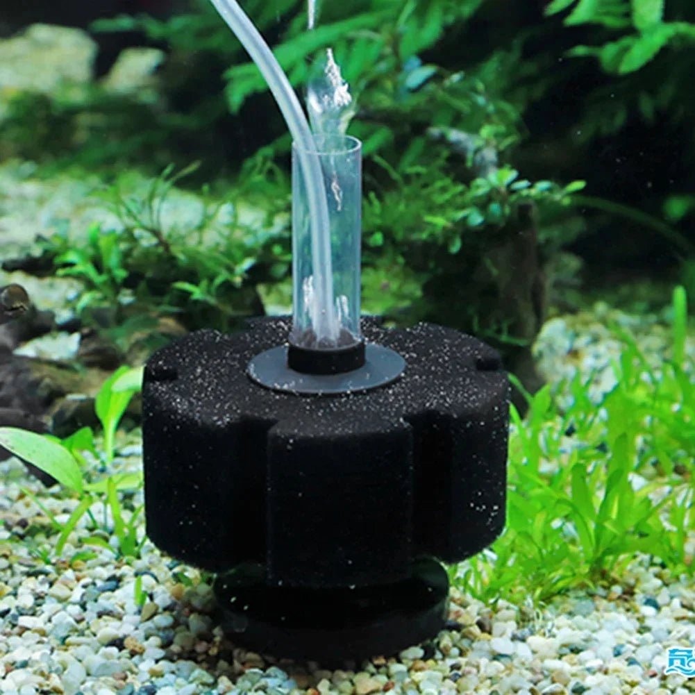 Aquarium Filter Sponge - ATSProducts