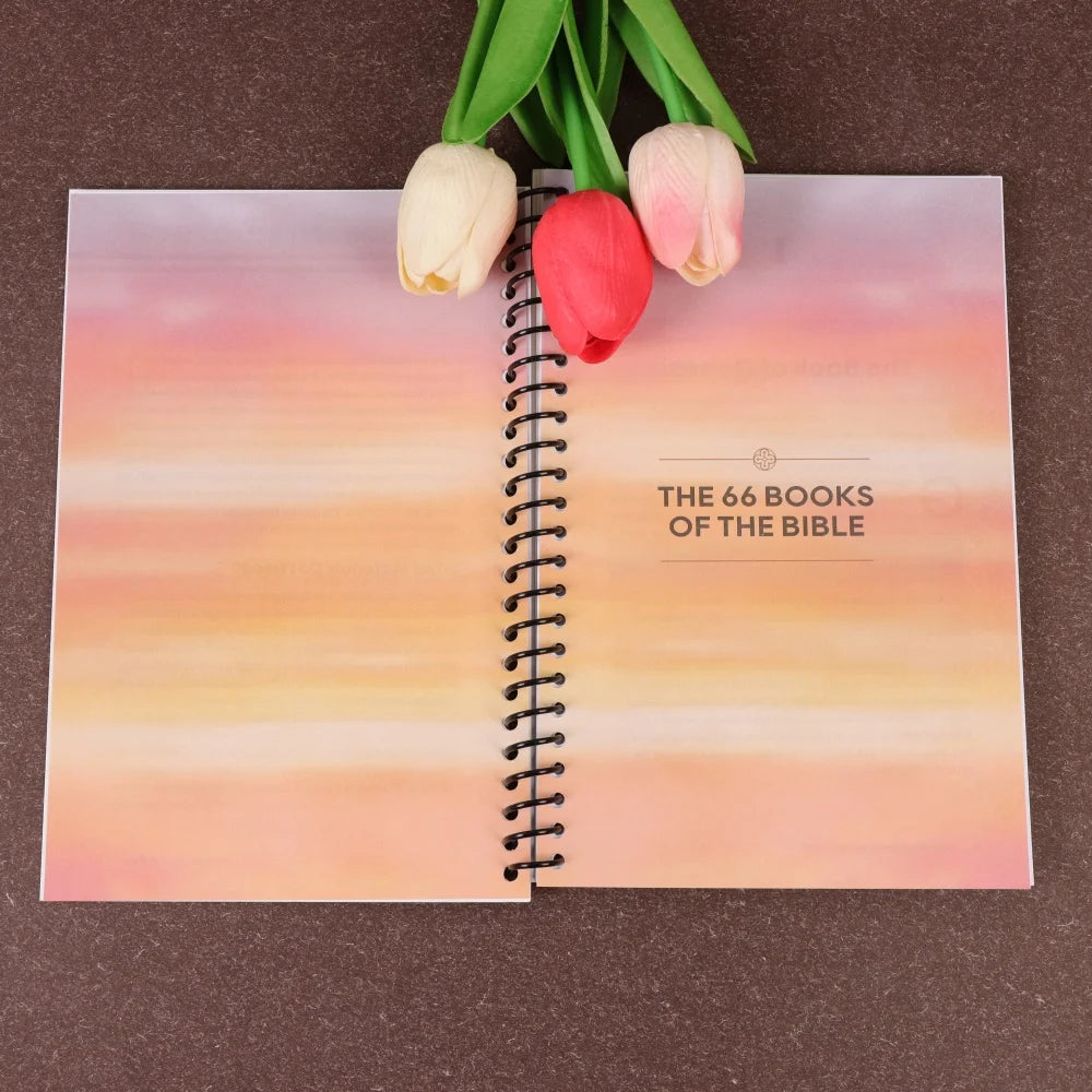 Bible Made Simple: Beginner's Guide to All 66 Books - ATSProducts