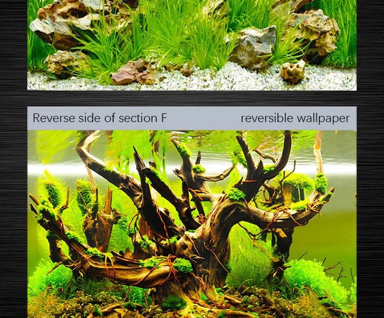 Fish Tank Background High-definition Image 3D - ATSProducts