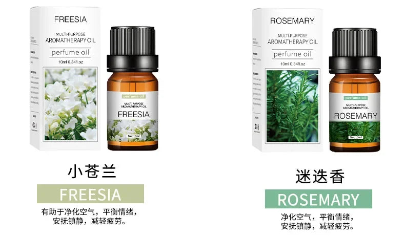 10ML Scented Essential Fragrance Oil Set - ATSProducts