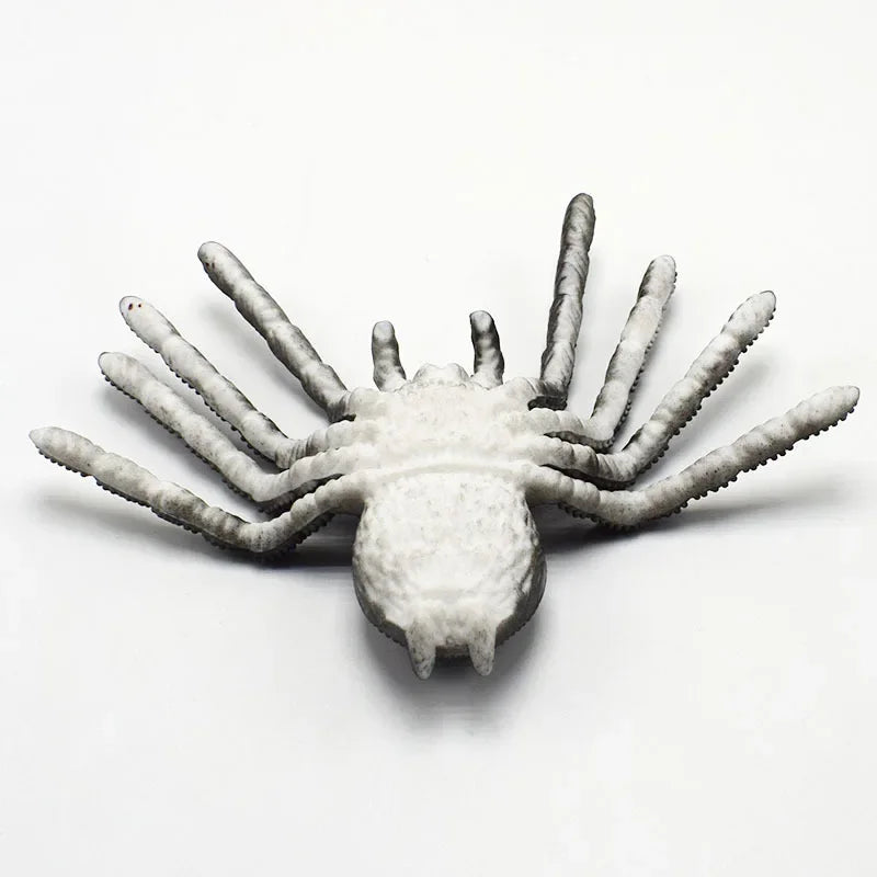 Moonbiffy Prank Realistic Scary Spider Insects - ATSProducts