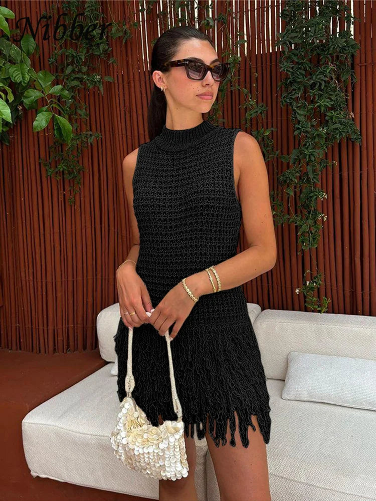 Nibber Crochet Tassel Hem Sleeveless Dress - ATSProducts
