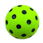 Foam Pickleball