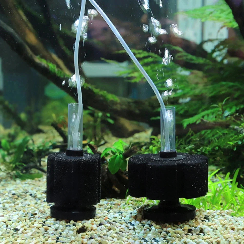 Aquarium Filter Sponge - ATSProducts