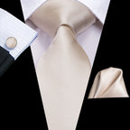 Hi-Tie Floral Champagne Ivory Mens Elegant Necktie - ATSProducts