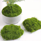 Artificial Moss