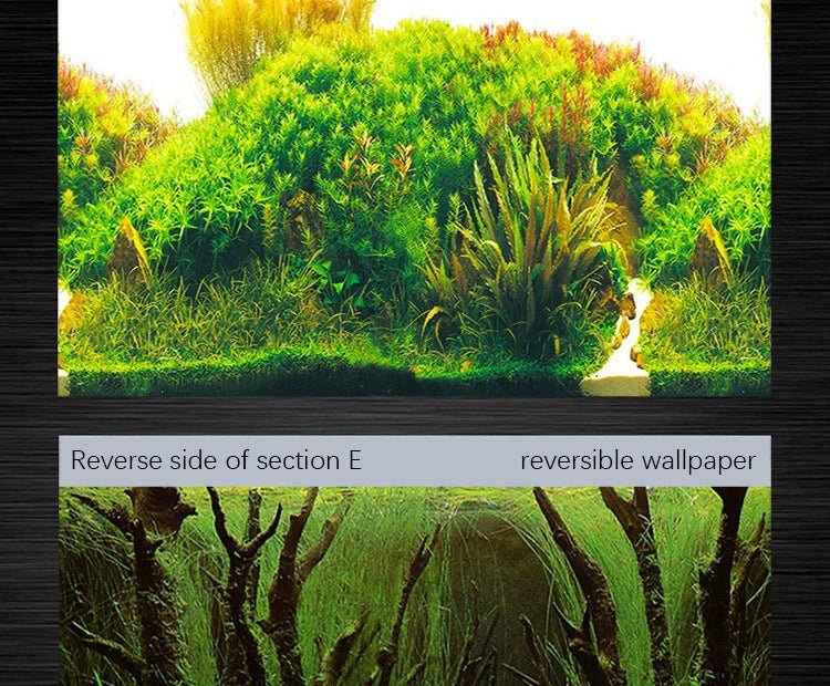 Fish Tank Background High-definition Image 3D - ATSProducts