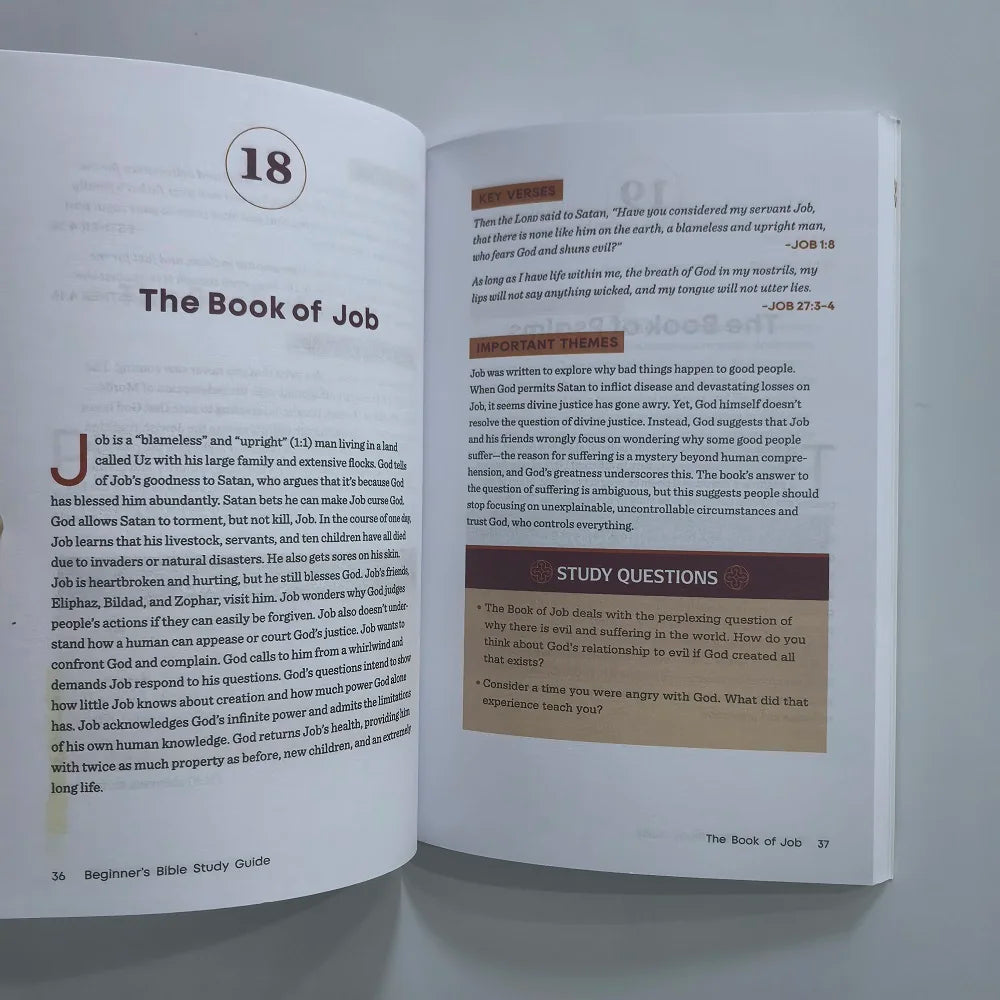 Beginner's Bible Study Guide: An Introduction to All 66 Books of the Bible - ATSProducts