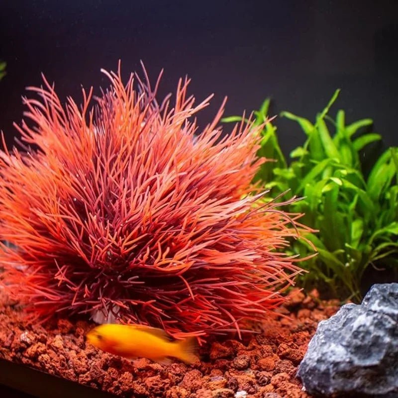 Fish Tank Landscape Decoration - ATSProducts