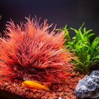 Fish Tank Landscape Decoration - ATSProducts