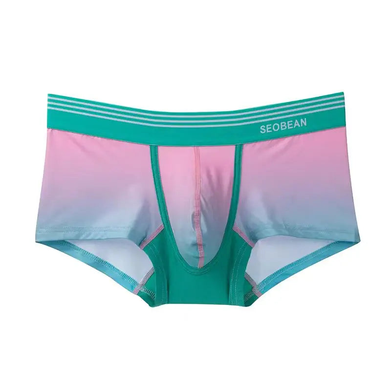 Seobean Gradient Boxer Briefs - ATSProducts