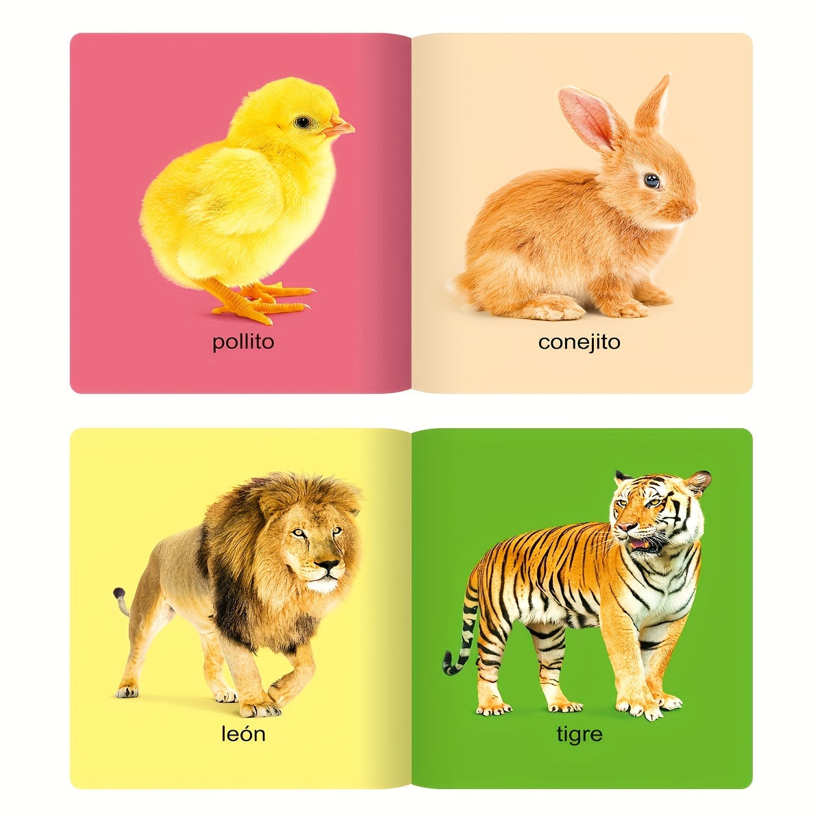 TeenyBaby Set Of 10 Spanish Children's Encyclopedia Reading Books - ATSProducts