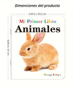 TeenyBaby Set Of 10 Spanish Language Books, My First Series Of Children's Identification Books - ATSProducts