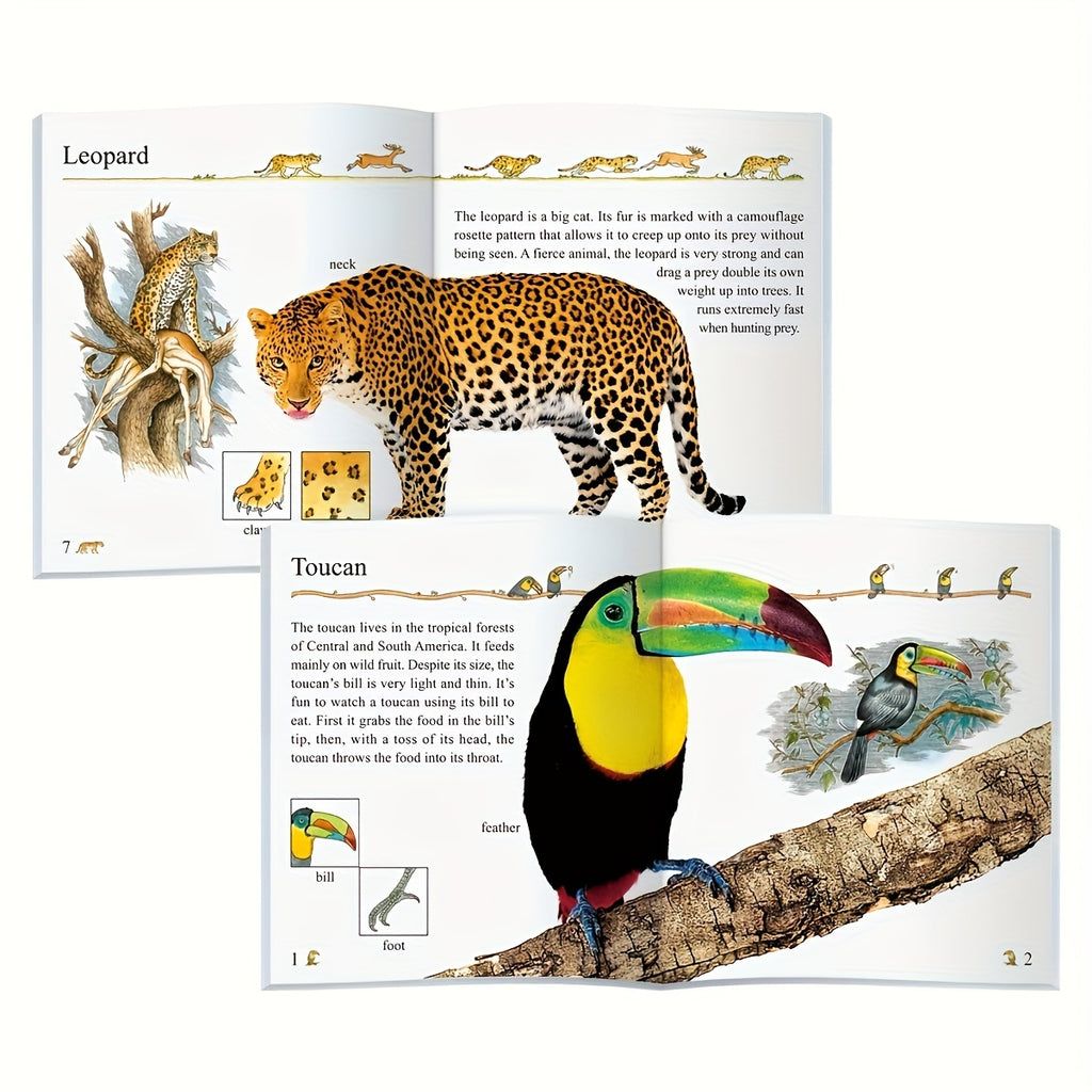 Set Of 10 My Encyclopedia Series Children's Educational Assistance Books - ATSProducts