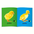 TeenyBaby Set Of 10 Spanish Language Books, My First Series Of Children's Identification Books - ATSProducts